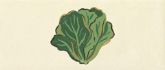 Lettuce