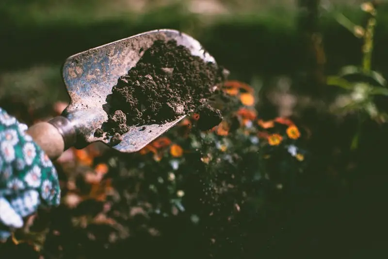 Garden trowel lifting rich dark soil