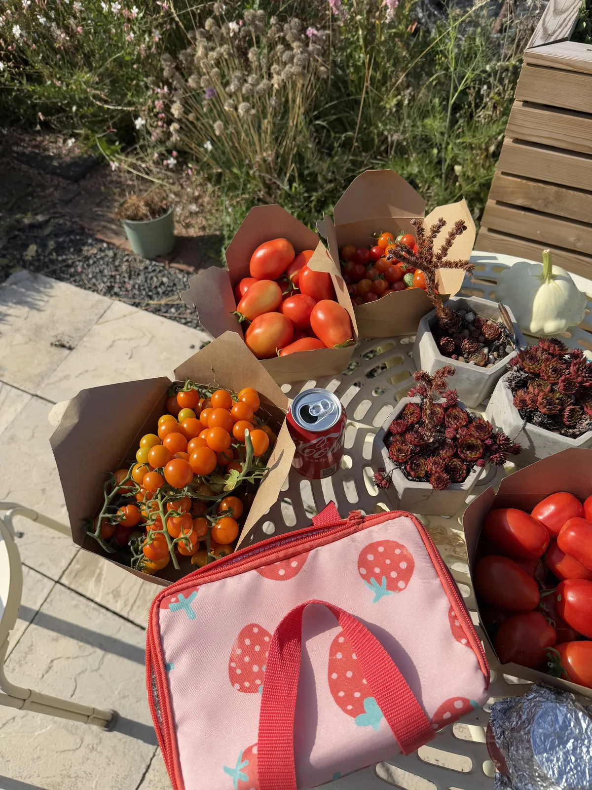 A table spread with boxes of cherry tomatoes, blackberries, and fresh vegetables from an allotment harvest