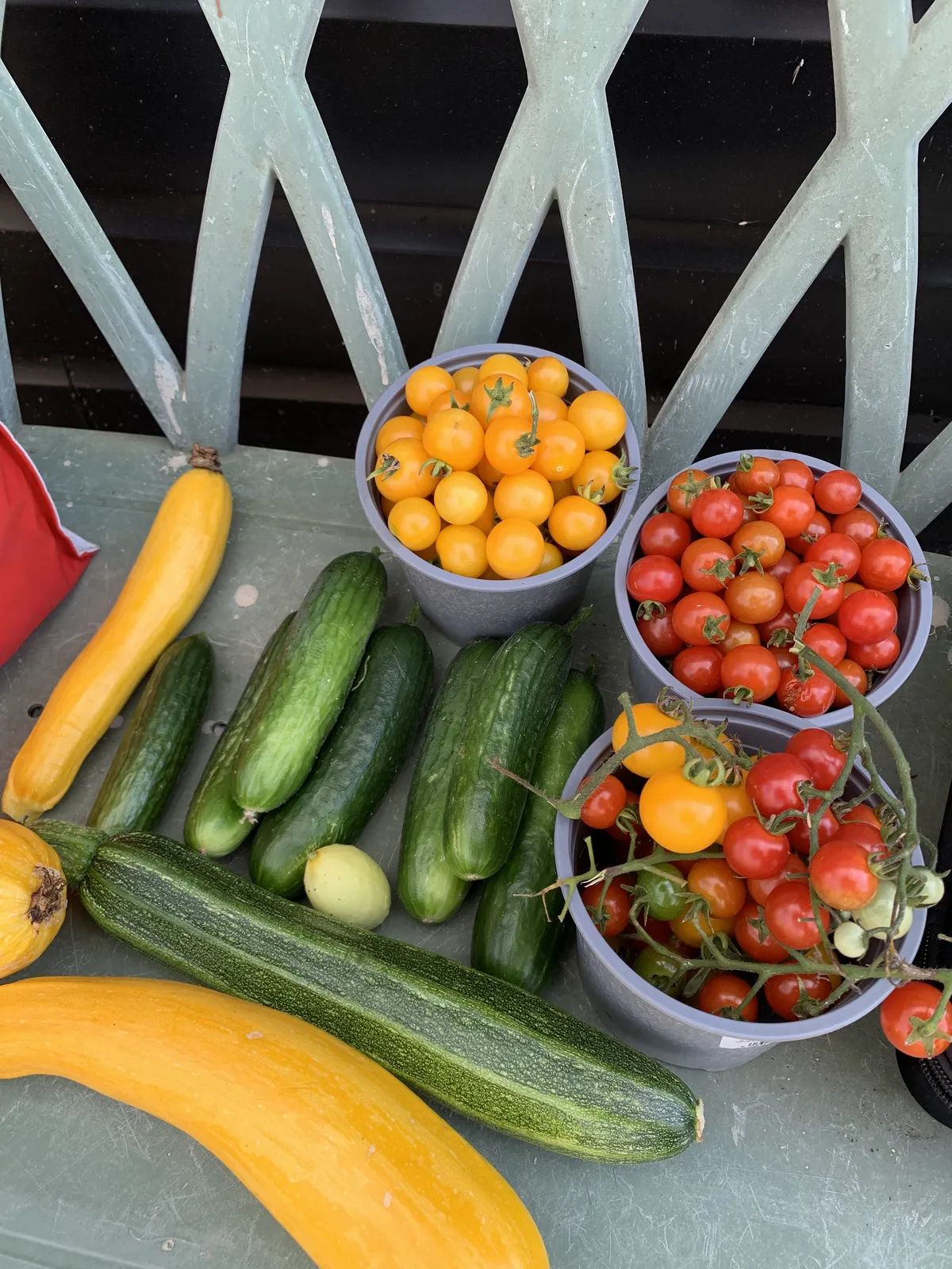 Buckets of red and orange cherry tomatoes alongside green and yellow courgettes on a garden table