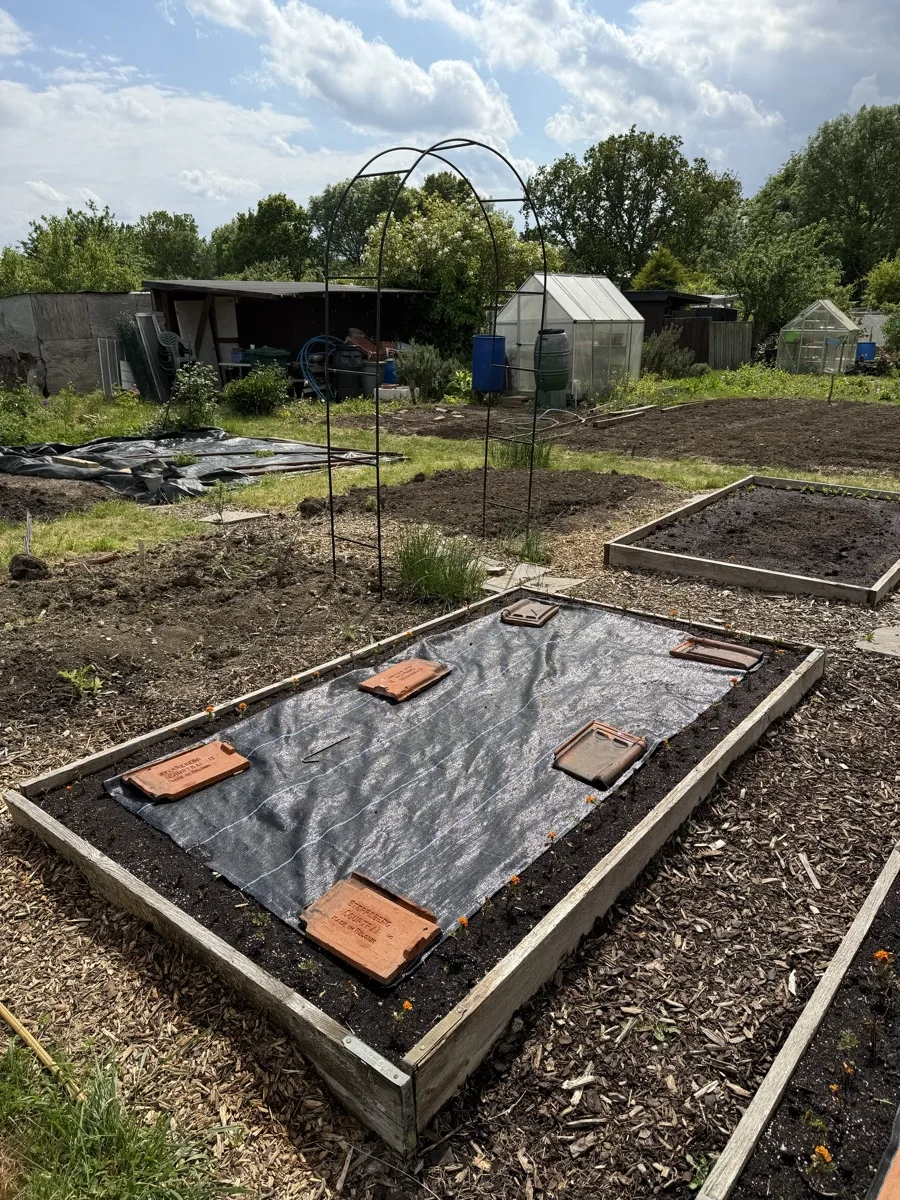 A raised wooden bed covered with black weed membrane held down with bricks, with an arch visible behind