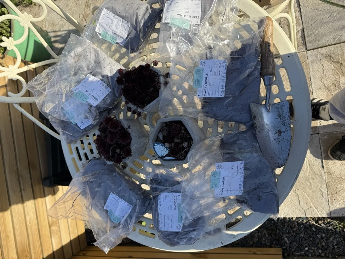 Multiple Farmer Gracy bare root plant packages laid out on a patio table ready to be planted