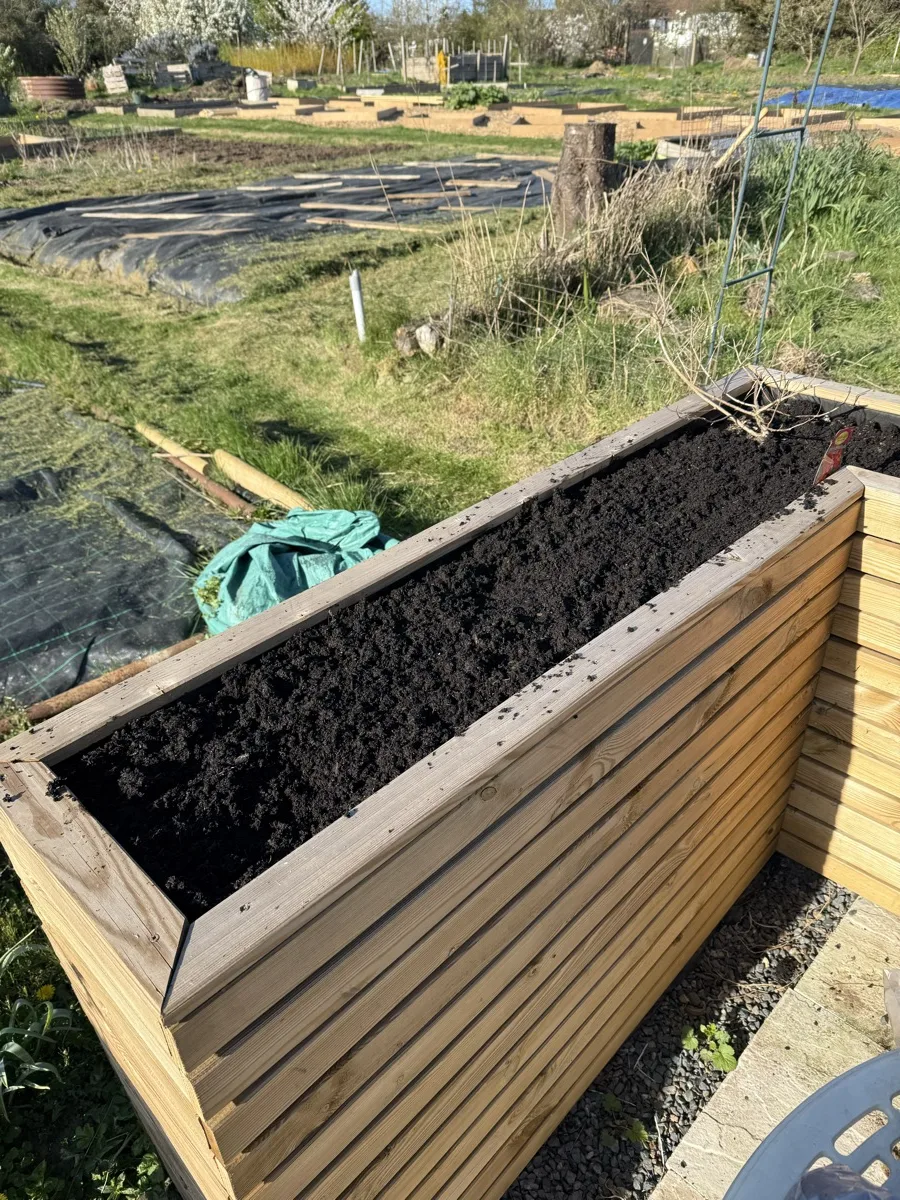 A large tall wooden planter freshly filled with dark compost, empty and ready for planting, allotment visible behind