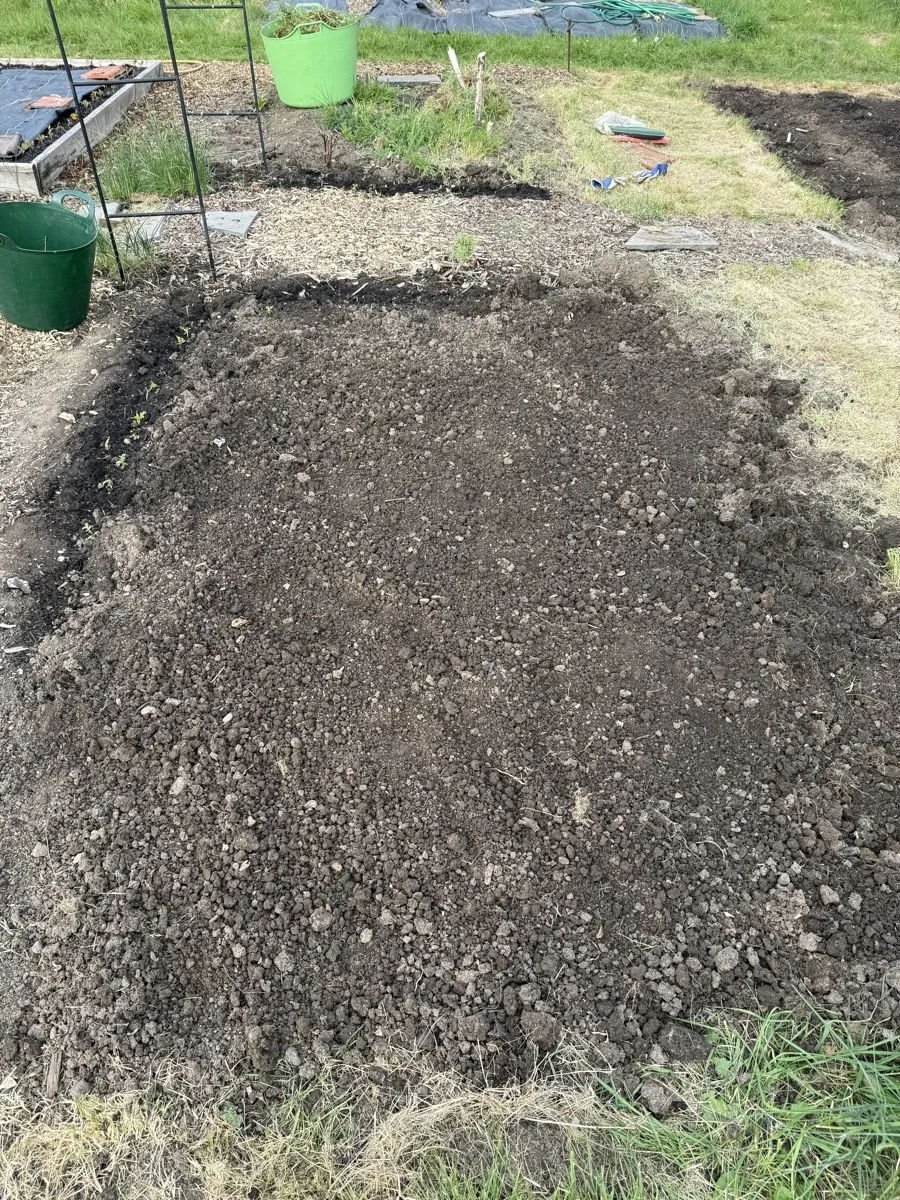 A freshly dug and cleared allotment bed ready for raking, with other prepared beds visible in the background